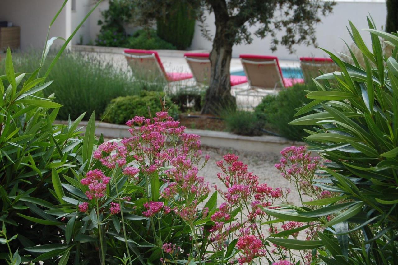 La Goutadou Bed and Breakfast Cabannes Εξωτερικό φωτογραφία