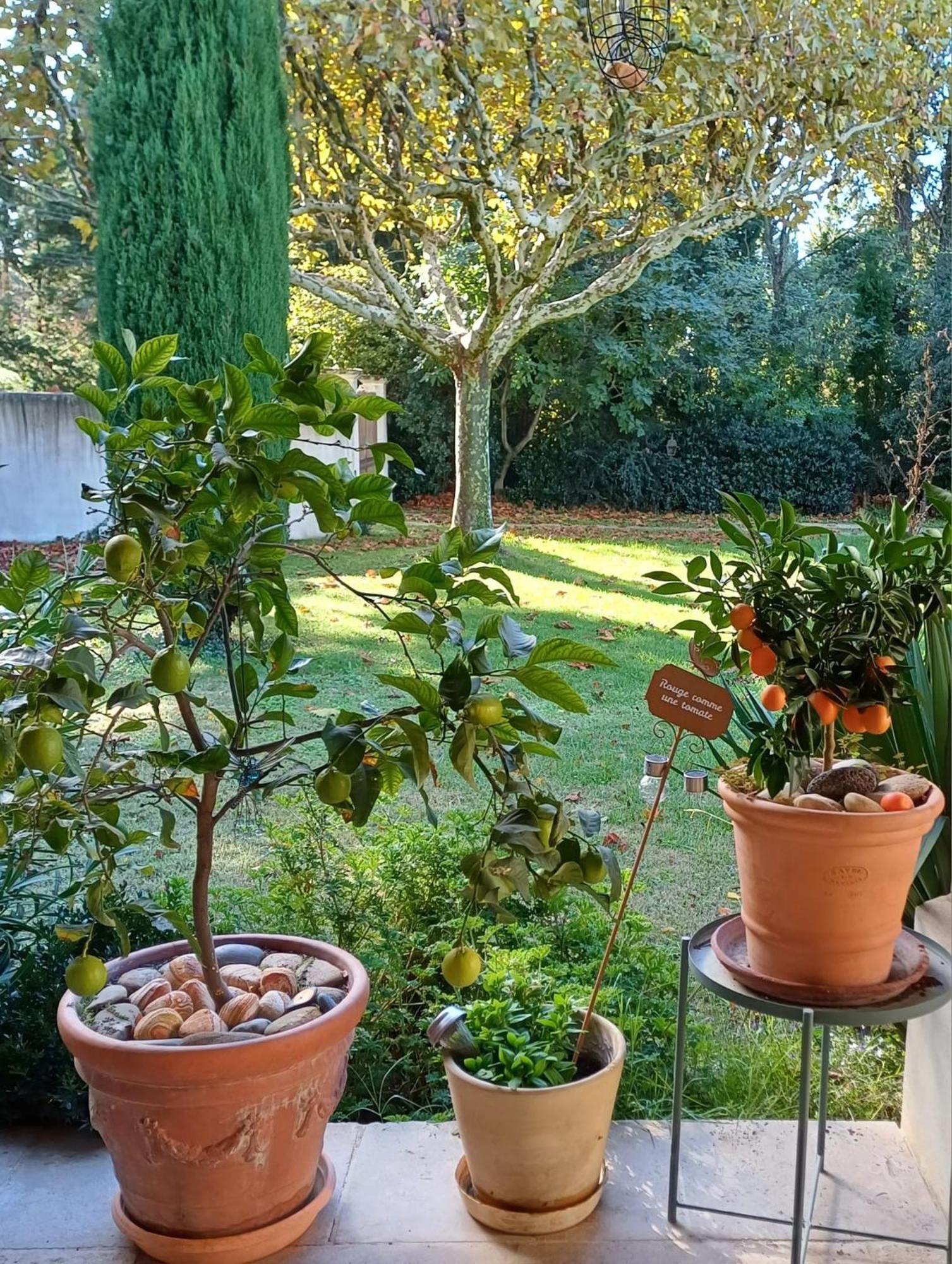 La Goutadou Bed and Breakfast Cabannes Εξωτερικό φωτογραφία